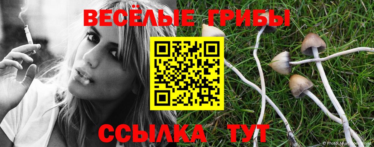 Галлюциногенные грибы Magic Shrooms Шали