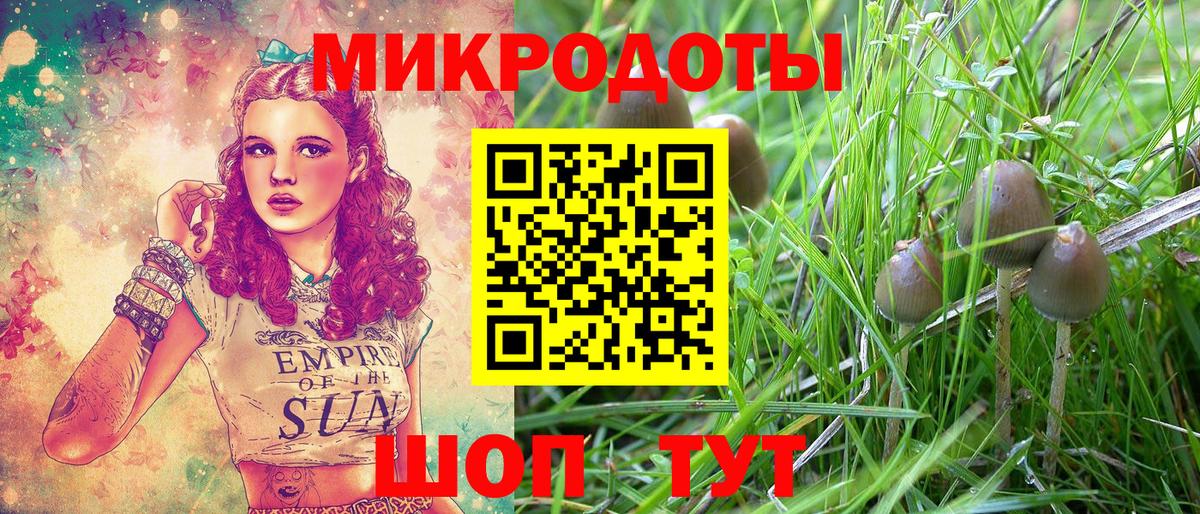 Шали  Псилоцибиновые грибы GOLDEN TEACHER  Галлюциногенные грибы ЛСД  закладка  Вход с VPN 
